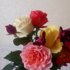 Анна Коломайнен, 15.04, Санкт-Петербург