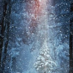 Станислав Квадратов-Бельский, 02.11, Санкт-Петербург