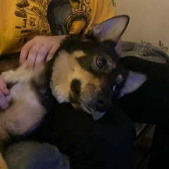 Роман Ахметчин, 19.06, Псков