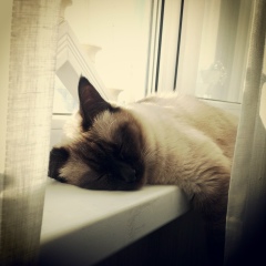 Оля Андреева, 31.03.1983, Санкт-Петербург