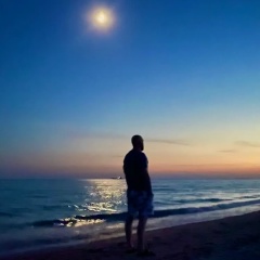 Дмитрий Судариков, Москва