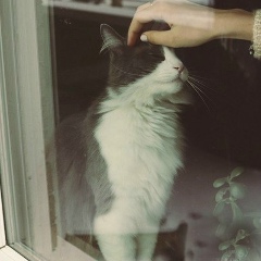 Tanya Shcherbina, 16.09, Москва