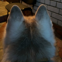 Роман Романов, 29.03, Краснодар