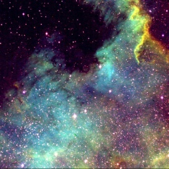 Дмитрий Разживин, 29.02.1992, Anchorage