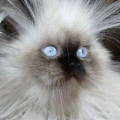 Иван Дербенев, 22.03.1993, Комсомольск-на-Амуре