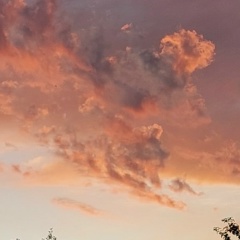 Наталья Макаева, Тольятти