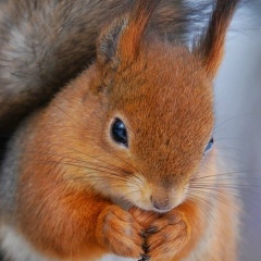 Белла Эмануилова, 25.06, Москва