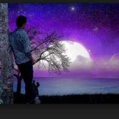 Chan Lay, 01.01.1995