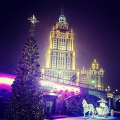 Алан Пешхоев, 23.11, Москва