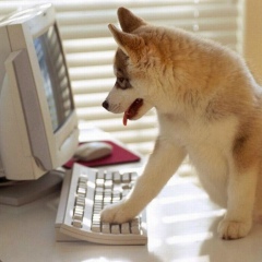 Екатерина Клычникова, 09.07.1987, Москва