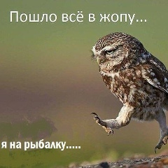 Дима Лобанов, Москва