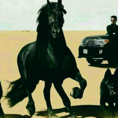 Рамазон Остонов, 08.03.1994, Волхов