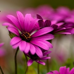 Наталья Александрова, 23.02.1987, Москва