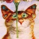 Наталья Тертычная