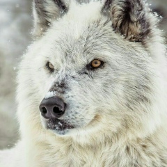 Адильхан Бахтыбаев, 06.09.1994, Атырау