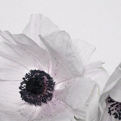 Айнура Байгесенева, 14.03.1991, Талдыкорган