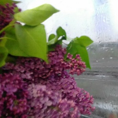 Милена Иванова, 01.03, Москва