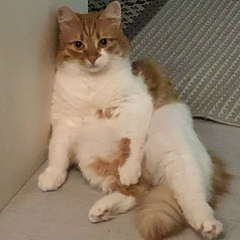 Александр Голов, 08.07.2006