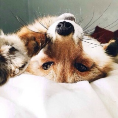 Танюшка Лещенко, 24.10, Зеленодольск