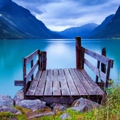 Fox Red, Санкт-Петербург