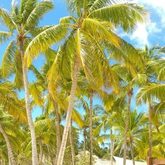 Наталья Боркина, 14.05, Алматы