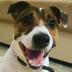 Сергей Игнашин, Москва