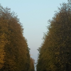 Нигора Нигматова, Худжанд