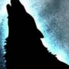 Stas Radlovskii, 15.11, Тирасполь