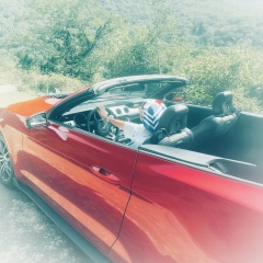 Антонина Сербенко, 15.05.1999, Москва