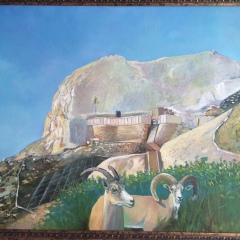 Рахат Оскинов, 27.08.1980