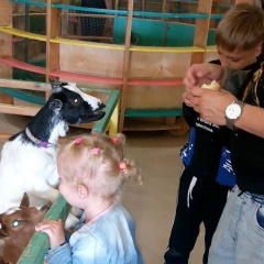 Денис Мельниченко, 23.02.1983, Мурманск