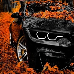 Александр Александров