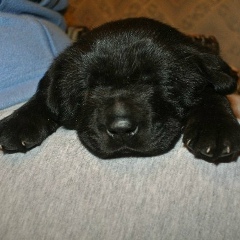 Тарас Матвеев, 20.08.1986, Будогощь