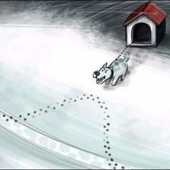 Дмитрий Толкачев, 02.01.1982