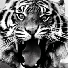 Рустам Злодей, 09.12.1991, Москва