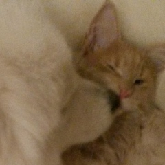 Мария Бакалова