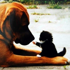 Adam Muradov, 10.06.1991, Москва