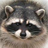 Кристина Гусятинская, 23.09, Москва