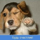 Стас Слабко, Сумы