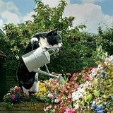 Дмитрий Цветков, 09.11.1990, Санкт-Петербург