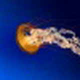 Кылымбек Суюмбай, 01.11.1998, Ош