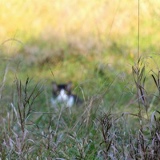 Irina Volotovskaya, 26.08, Омск