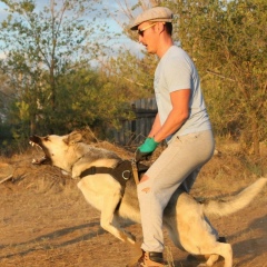 Арон Мұқанов, 20.09, Актобе