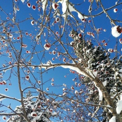 Марина Гусак, 01.12.1992, Санкт-Петербург