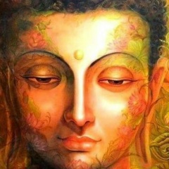 Никита Володин