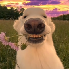 Кирилл Владимирович, Москва