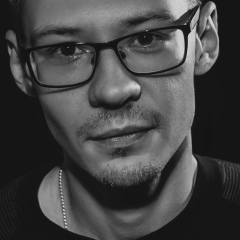 Александр Довянский, Воронеж