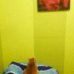 Максим Сёмин, Самара