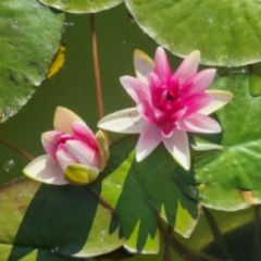 Кристина Доронова, 05.01, Казань