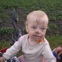 Анатолий Марчук, Горники